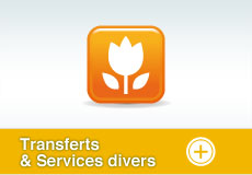 Transferts et services divers