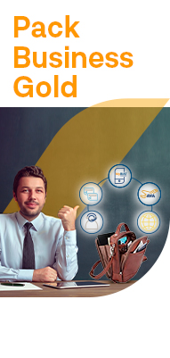 Pack Business Golddroite